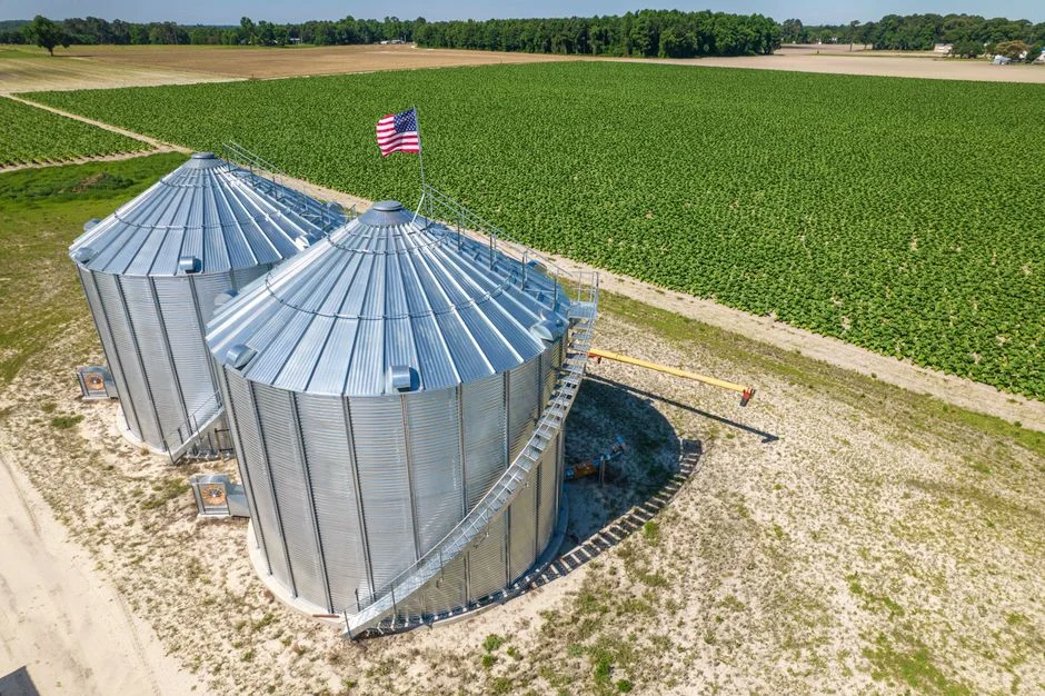 Grain Silo Market Entry Strategy: Evaluating New Regions for Storage Service Expansion - Illustration 2