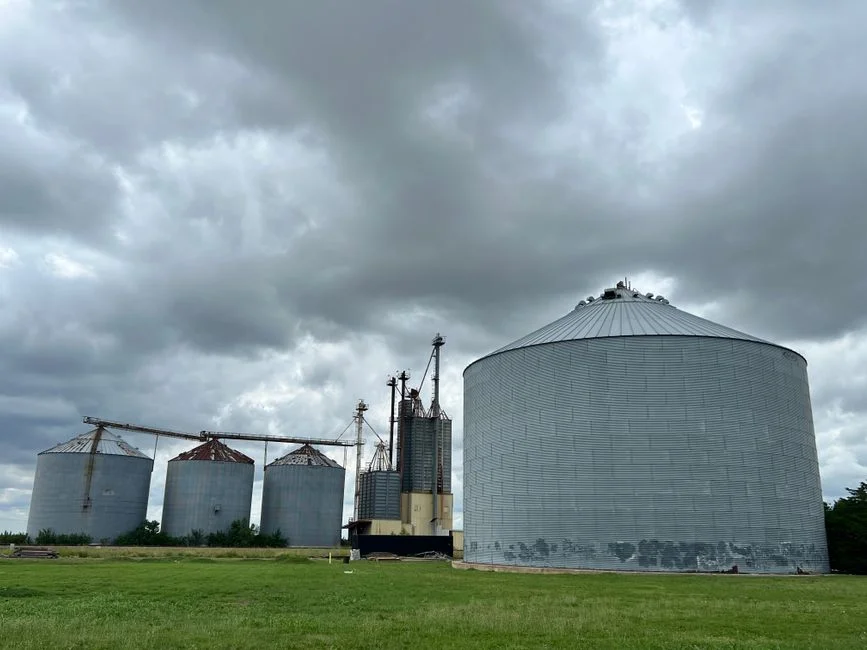 Grain Storage Pest Management: Integrated Approach for Steel Silos