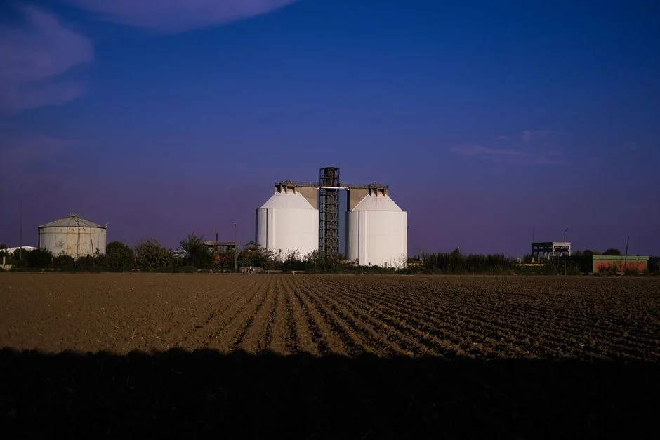 Grain Storage Pest Management: Integrated Approach for Steel Silos - Illustration 2