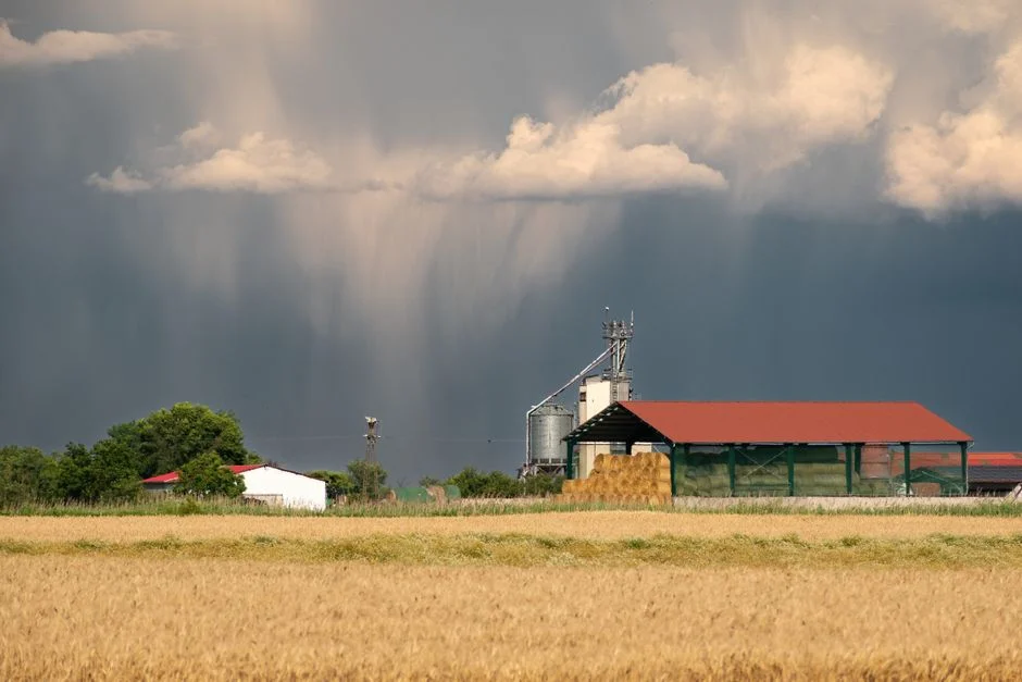 Grain Silo Extended Storage Insurance Coverage: Policy Comparison Guide