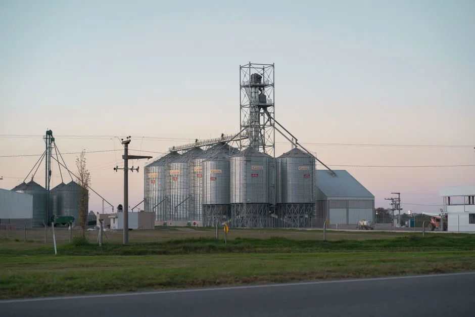 Thermal Expansion Effects on Large-Diameter Steel Silo Structures