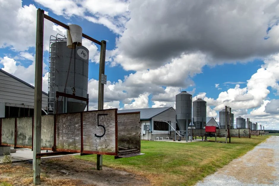 Grain Silo Certification Requirements for Organic and Non-GMO Storage Programs - 2