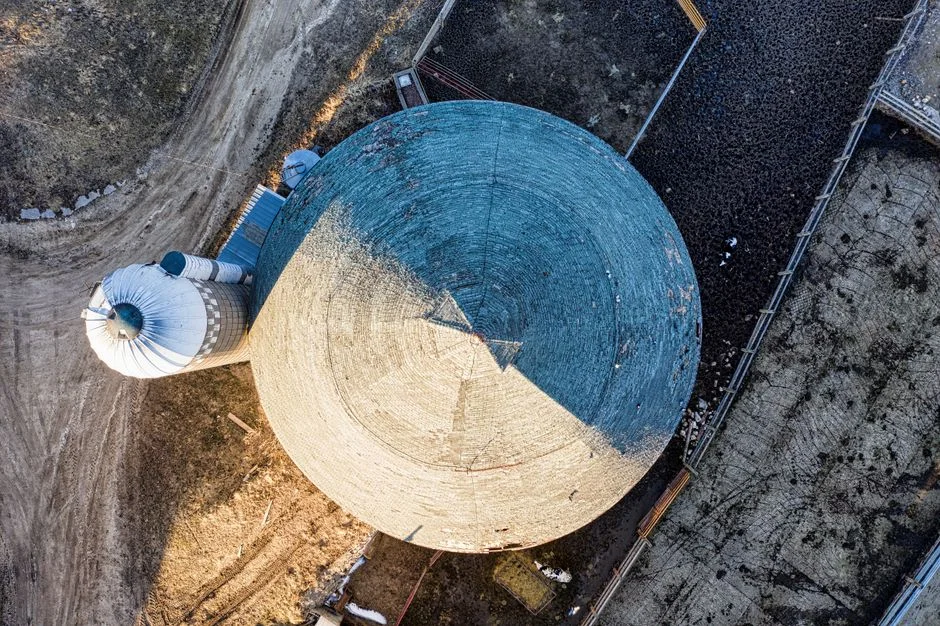 Brewery and Distillery Grain Storage: Silo Solutions for Malt and Barley