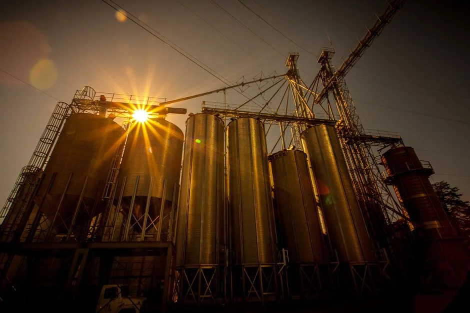 Milk Powder Storage Silos for Dairy Processing: Hygienic Design Requirements - Illustration 2