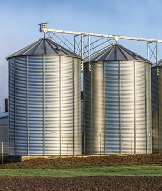 1000-Ton Feed Mill Grain Silo Project in Thailand