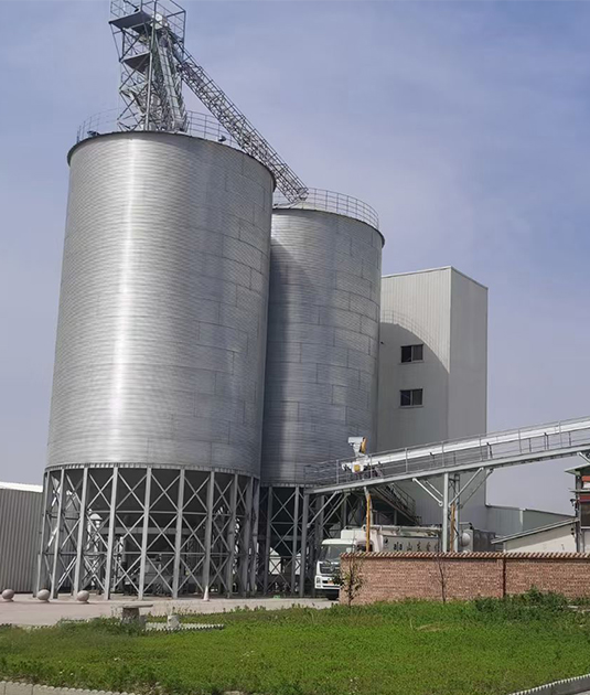 2000-ton Feed Storage Silo System in Colombia