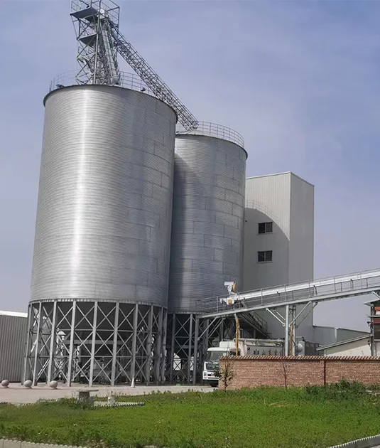 2000-ton Feed Storage Silo System in Colombia