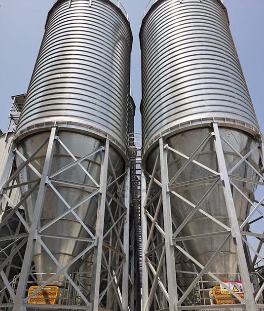 15 Soybean Storage Silos Project in Argentina