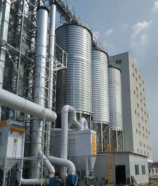 6 Raw Grain Storage Silos for Feed Mill in Vietnam