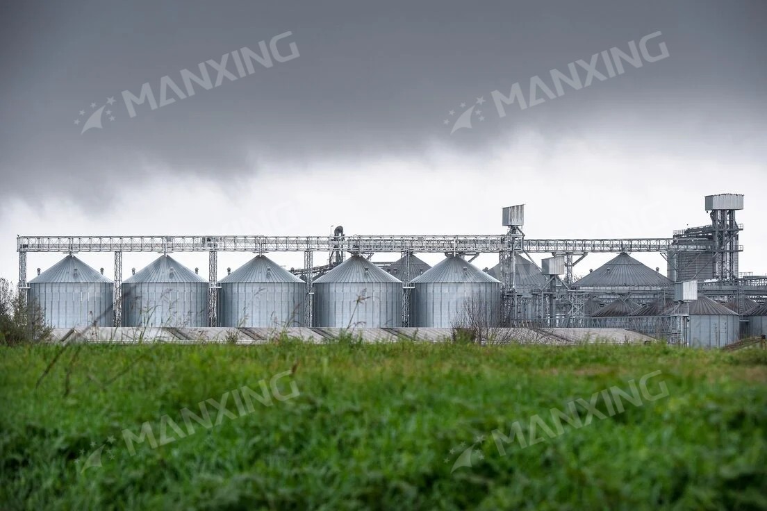 Silo de frijol mungo de acero especializado