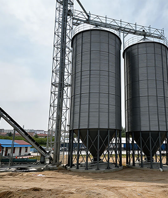 2000-ton Grain Silo Project for Feed Mill in Vietnam