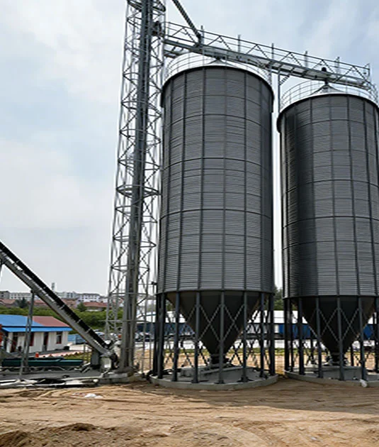 2000-ton Grain Silo Project for Feed Mill in Vietnam