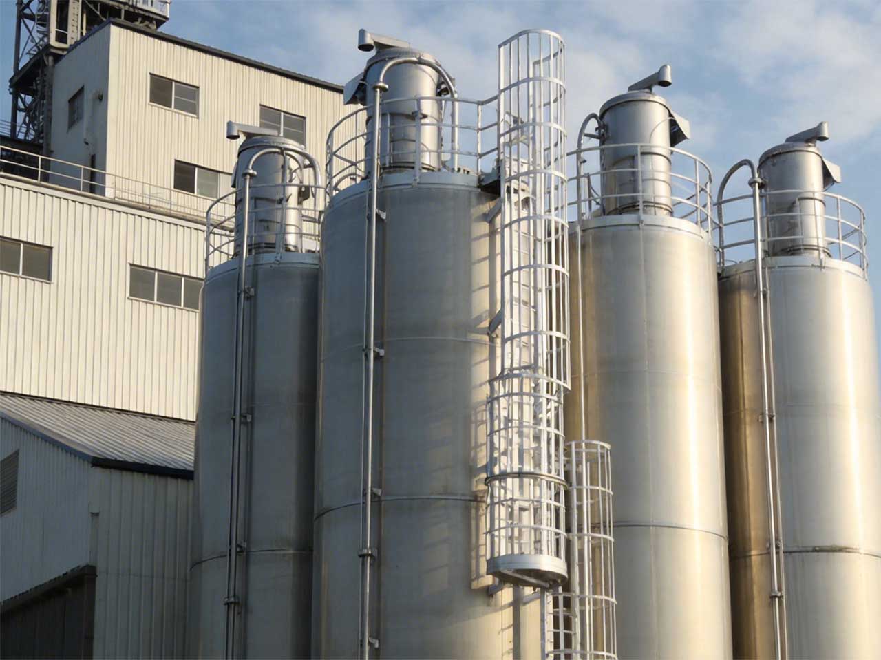 Soluci&oacute;n de silo de almacenamiento de harina segura y controlada