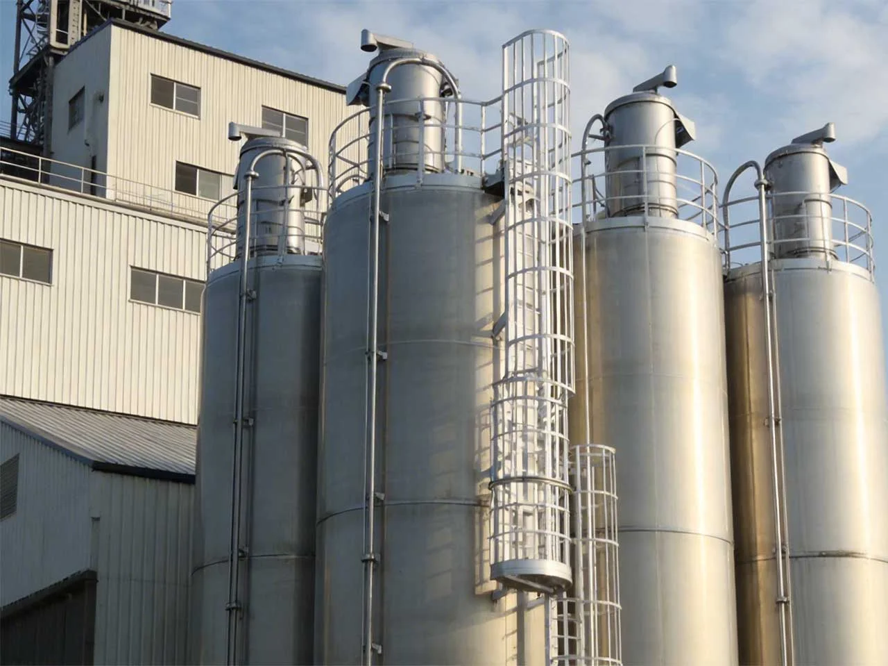 Safe and Controlled Flour Storage Silo Solution