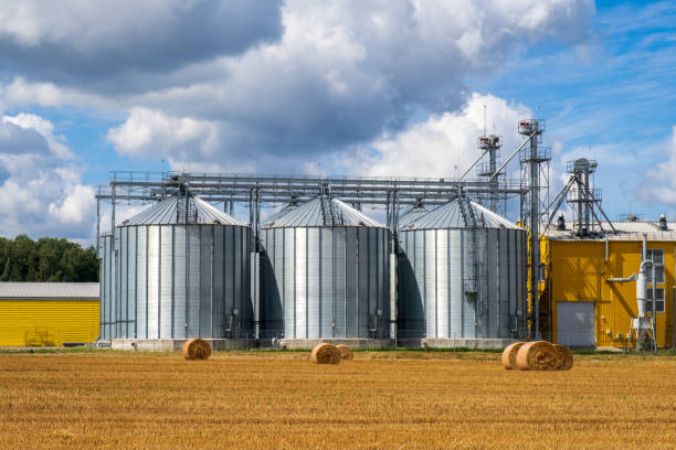 Contenedores de almacenamiento de granos agr&iacute;colas