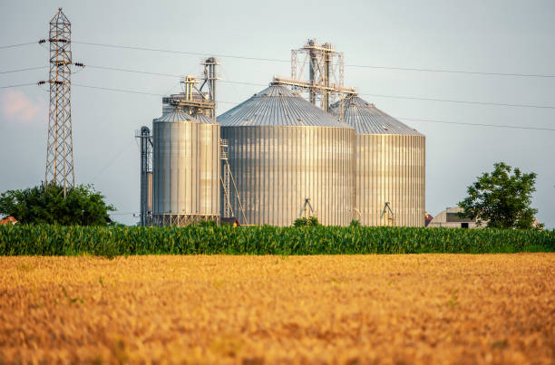 Contenedores de almacenamiento de granos agr&iacute;colas