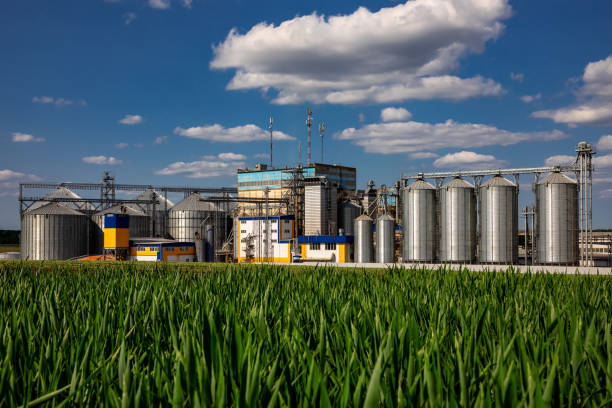 Gu&iacute;a de costos de silos de acero: precios, tipos y planificaci&oacute;n presupuestaria