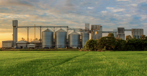 Dise&ntilde;o de silos de granos a gran escala: Gu&iacute;a de especificaciones t&eacute;cnicas