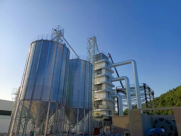 Grain Drying System
