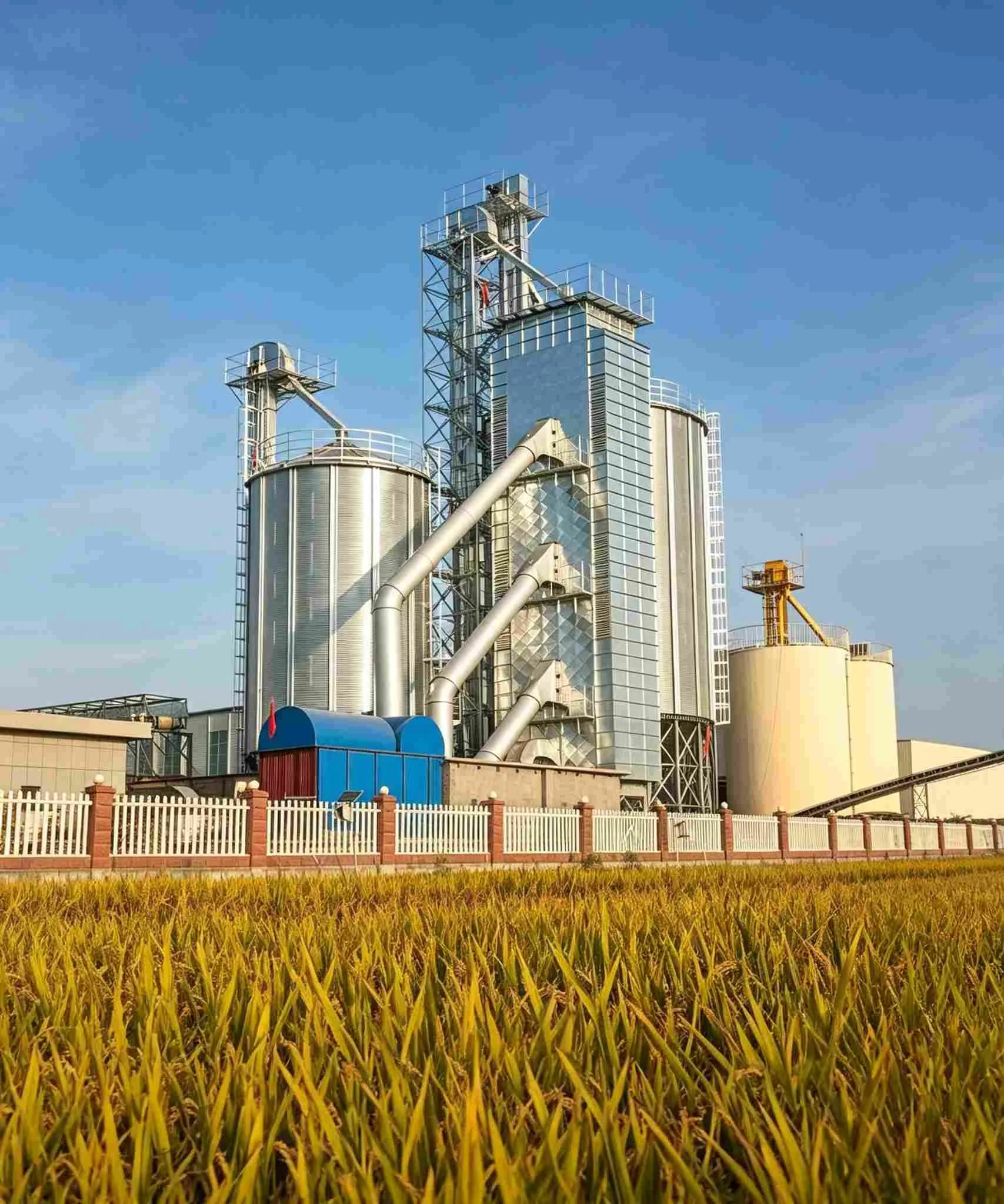 3&times;2000Ton Storage System for Rice Mill Plant in Bolivia