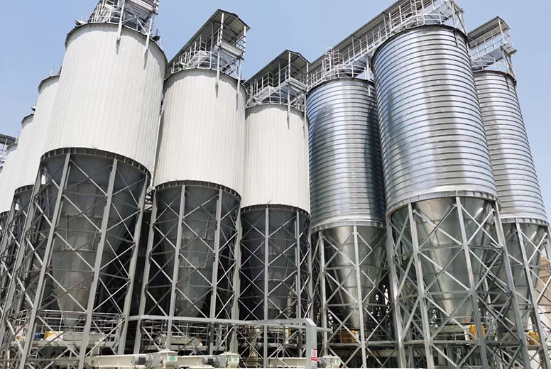 Hopper bottom silo for storage and drying