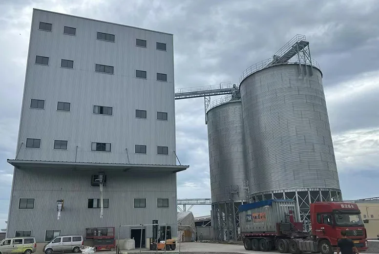 Hopper bottom feed silo
